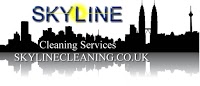 Skyline Cleaning 969666 Image 1