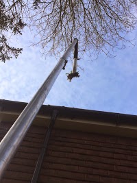 Southdowns Gutter Cleaning 970641 Image 2