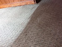 Spring Clean Carpet Care 970009 Image 5