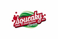 Squeaky Clean 968410 Image 0