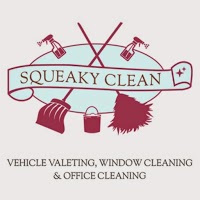 Squeaky Clean 978288 Image 0