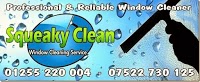 Squeaky Clean window cleaning service 987016 Image 0