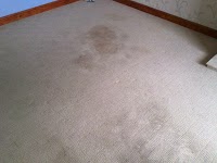 Supreme Carpet Cleaning 990036 Image 3