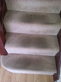 Swansea Carpet Cleaning 983020 Image 4