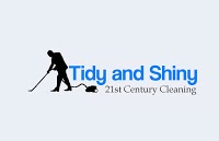 Tidy and Shiny Cleaners 971434 Image 4