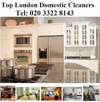 Top London Domestic Cleaners 982035 Image 6