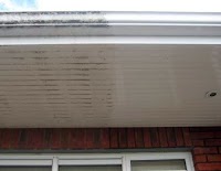 Warrenpoint Window Cleaning 971637 Image 5