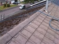 Wensum Roof Clean 978523 Image 0