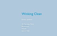 Winking Clean 978836 Image 2