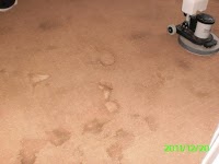 Wirral Carpet Care 958834 Image 0