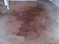 Xtract2clean Carpet Cleaning 974765 Image 7