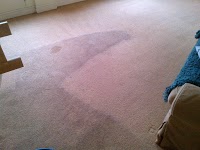 Xtract2clean Carpet Cleaning 974765 Image 9