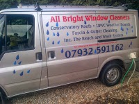 all bright window cleaners 985781 Image 0