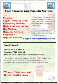 cosy cleaners and domestic services 977749 Image 0