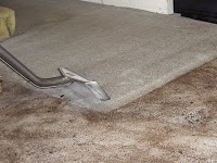 pro clean carpet cleaners and car valeting 989158 Image 3