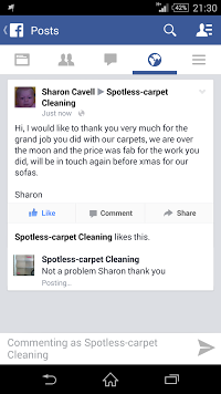 spotless carpet and upholstery cleaning 960749 Image 2