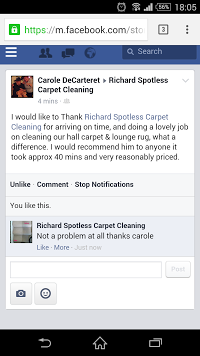 spotless carpet and upholstery cleaning 960749 Image 6