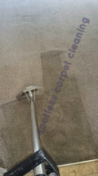 spotless carpet and upholstery cleaning 960749 Image 7